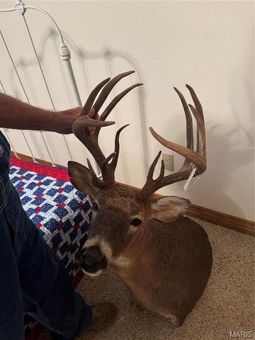 0 Creek Road, Dixon, MO 65459