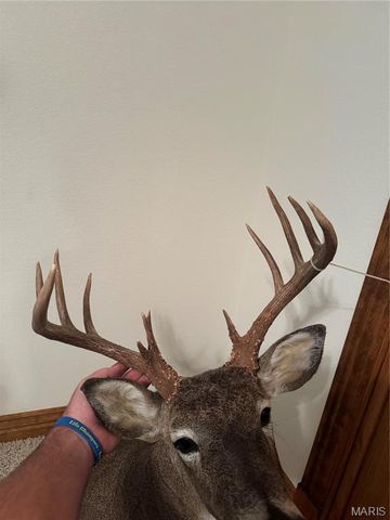 0 Creek Road, Dixon, MO 65459