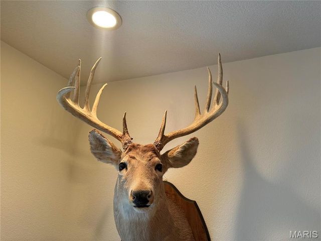 0 Creek Road, Dixon, MO 65459