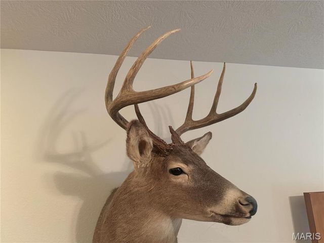 0 Creek Road, Dixon, MO 65459