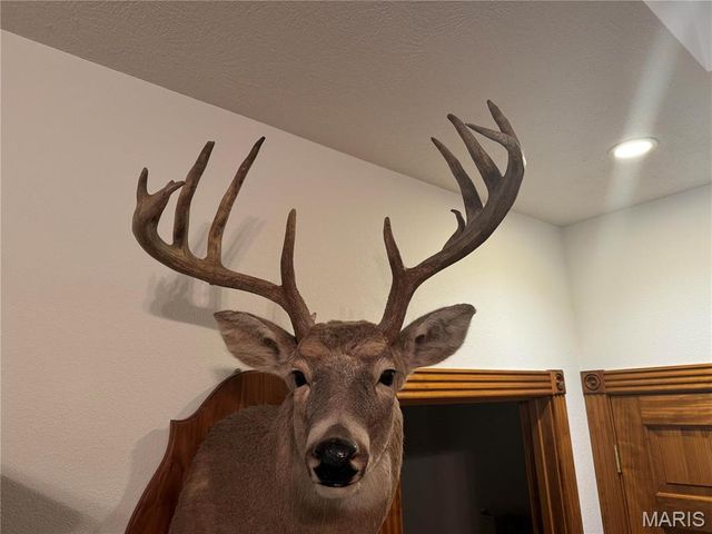 0 Creek Road, Dixon, MO 65459