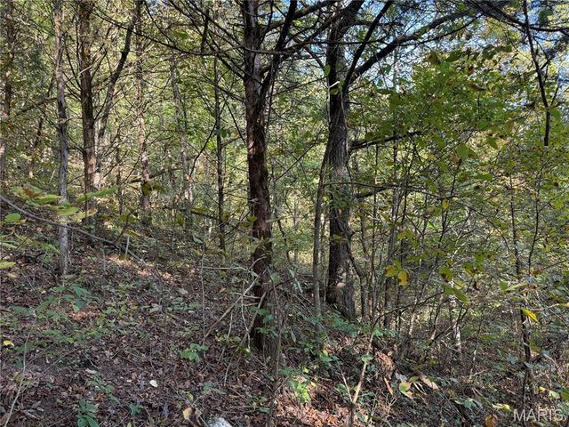 0 Creek Road, Dixon, MO 65459