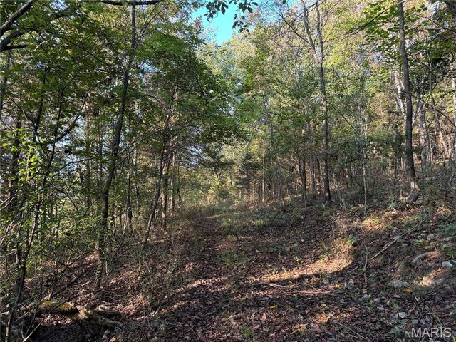 0 Creek Road, Dixon, MO 65459