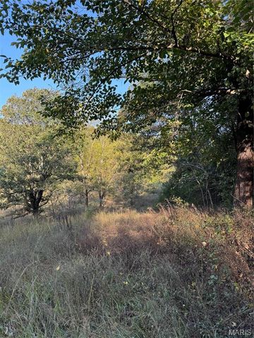 0 Creek Road, Dixon, MO 65459