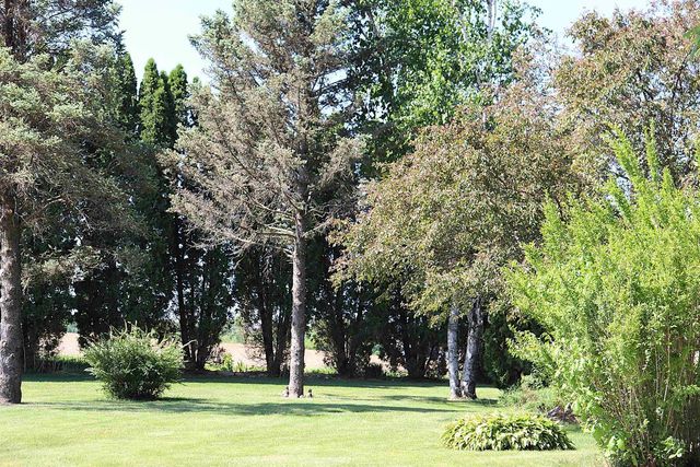 4338 S Schuman Road, Orfordville, WI 53576