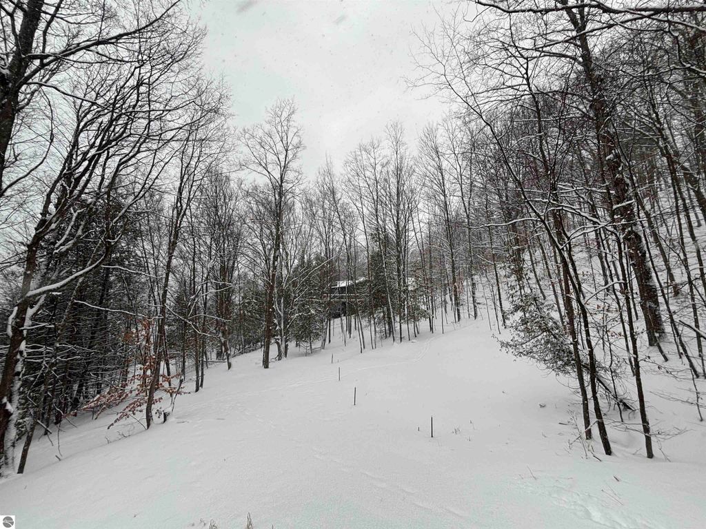 Image 29 of property listing at 7681 NW Torch Lake Drive, Kewadin, MI 49648