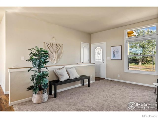 10817 N County Road 3, Wellington, CO 80549