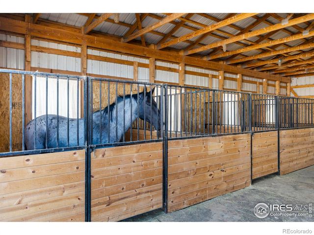 10817 N County Road 3, Wellington, CO 80549