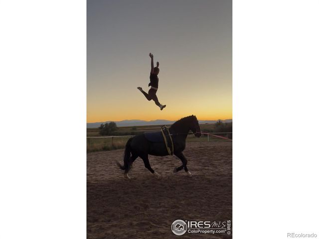 10817 N County Road 3, Wellington, CO 80549