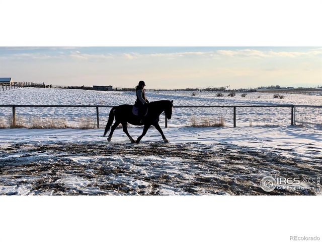 10817 N County Road 3, Wellington, CO 80549