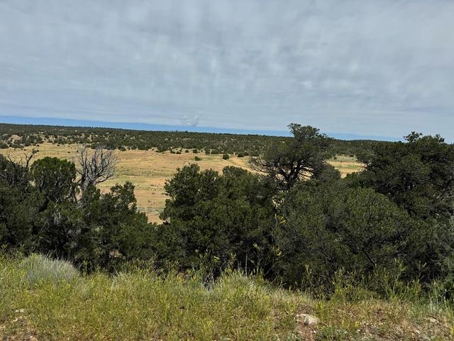 TBD Badger Rd, Walsenburg, CO 81089