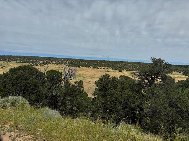 TBD Badger Rd, Walsenburg, CO 81089