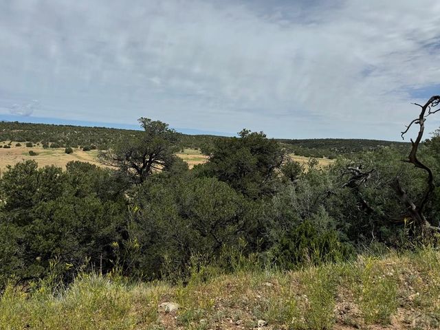 TBD Badger Rd, Walsenburg, CO 81089