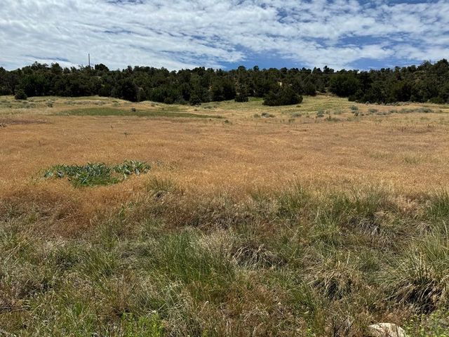 TBD Badger Rd, Walsenburg, CO 81089