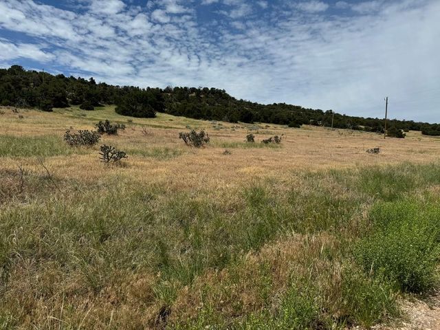 TBD Badger Rd, Walsenburg, CO 81089