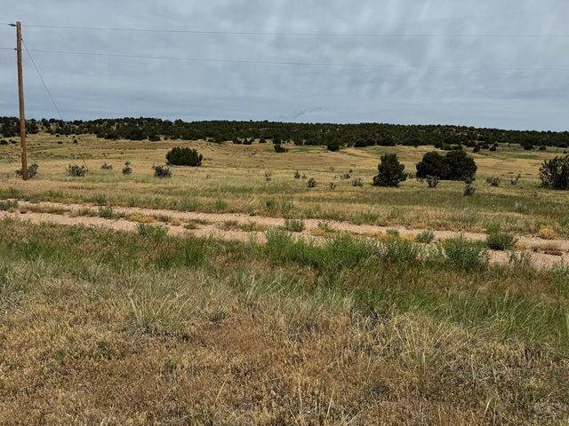 TBD Badger Rd, Walsenburg, CO 81089