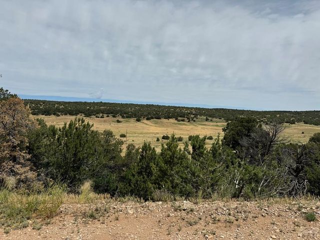 TBD Badger Rd, Walsenburg, CO 81089