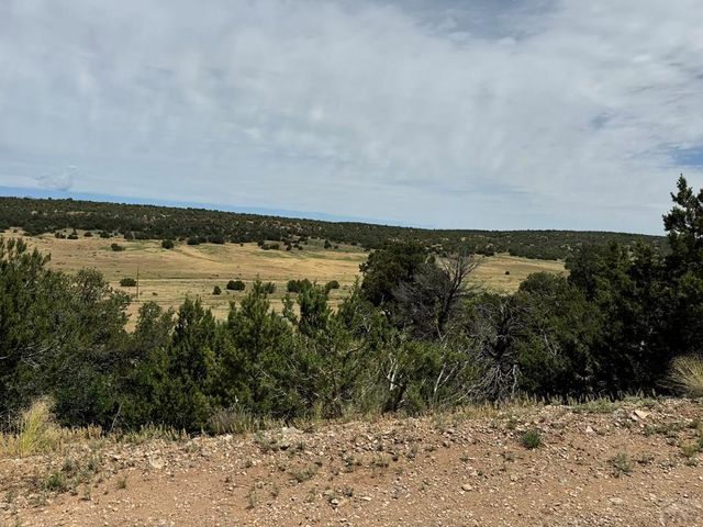 TBD Badger Rd, Walsenburg, CO 81089