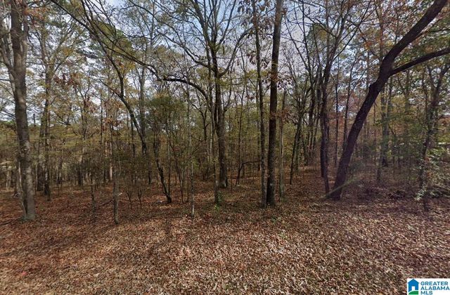 575 FUNDERBURG BEND ROAD, Pell City, AL 35128