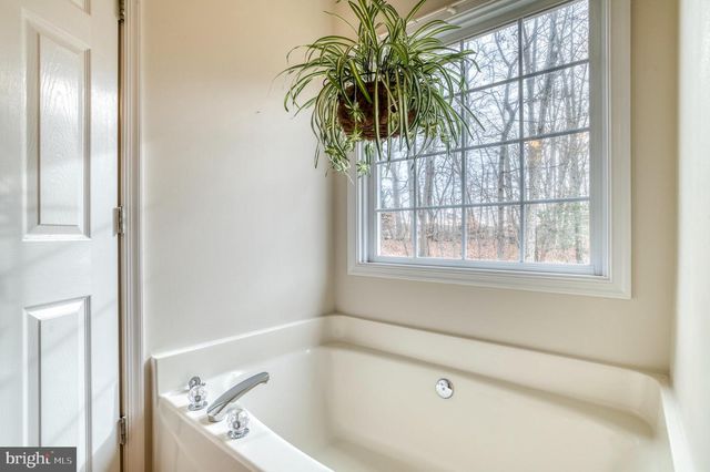 24552 ELEYS FORD RD, Lignum, VA 22726