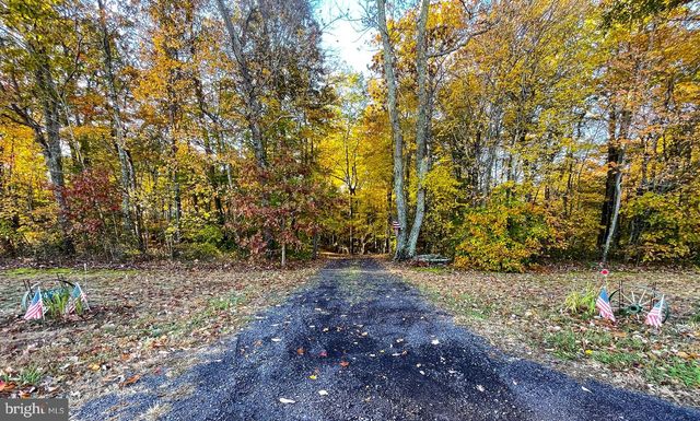 24552 ELEYS FORD RD, Lignum, VA 22726