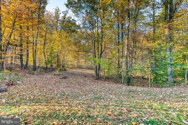 24552 ELEYS FORD RD, Lignum, VA 22726