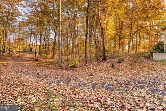 24552 ELEYS FORD RD, Lignum, VA 22726