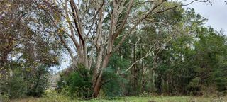 965 S Sally Terrace, Inverness, FL 34452