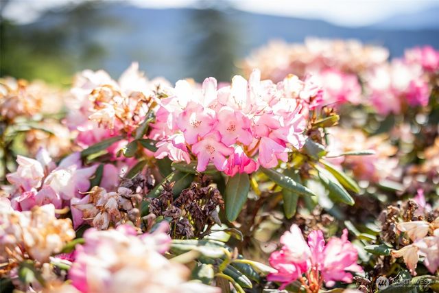 465 Quails Roost Road, Sequim, WA 98382