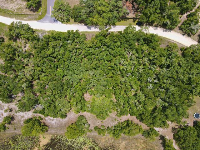 34237 SHAFFER DRIVE, Dade City, FL 33523