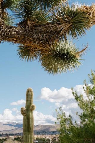 7092 Mohawk Trail, Yucca Valley, CA 92284