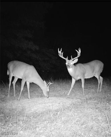 360 Glass Road, Malta, OH 43758