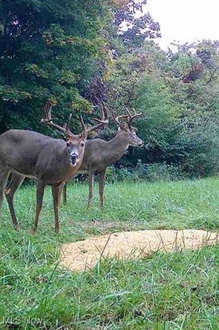 360 Glass Road, Malta, OH 43758