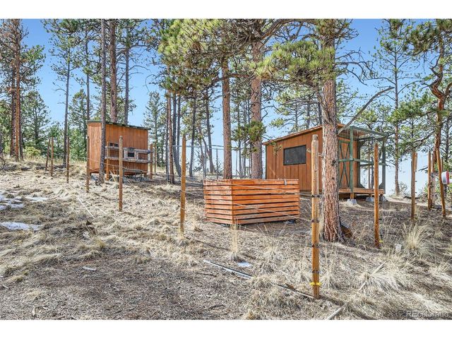 352 Peak View Cir, Florissant, CO 80816