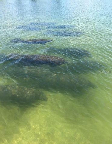 109 BAYSHORE ROAD 10, Nokomis, FL 34275