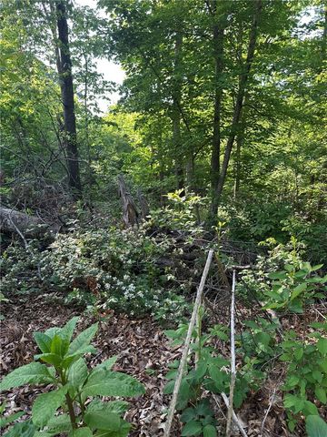 Greenlaw Lane, Bella Vista, AR 72715