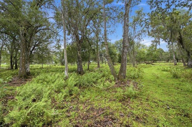 10066 MIZELL ROAD, Myakka City, FL 34251