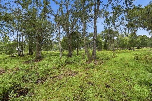 10066 MIZELL ROAD, Myakka City, FL 34251