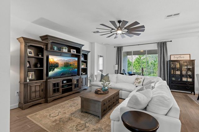 10843 IBIS BROOK COURT, Land O Lakes, FL 34638