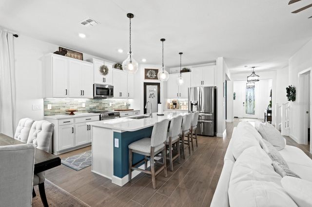 10843 IBIS BROOK COURT, Land O Lakes, FL 34638