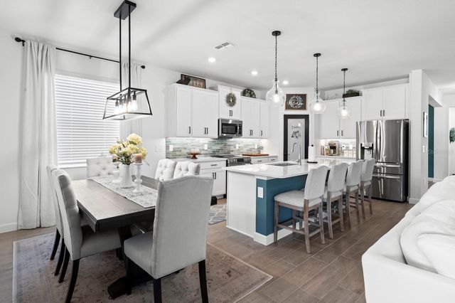 10843 IBIS BROOK COURT, Land O Lakes, FL 34638