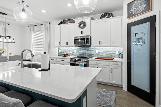 10843 IBIS BROOK COURT, Land O Lakes, FL 34638