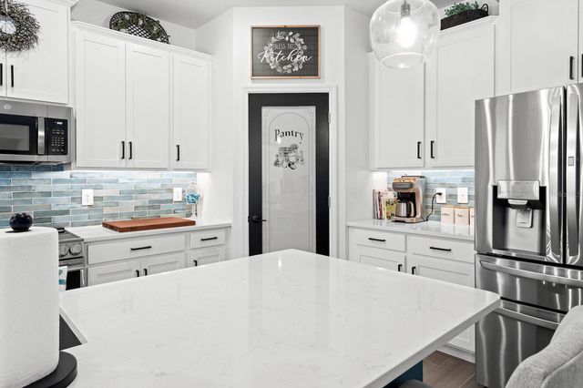 10843 IBIS BROOK COURT, Land O Lakes, FL 34638