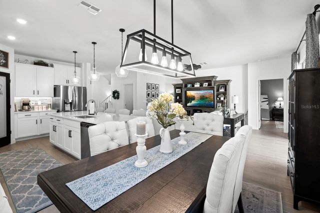 10843 IBIS BROOK COURT, Land O Lakes, FL 34638