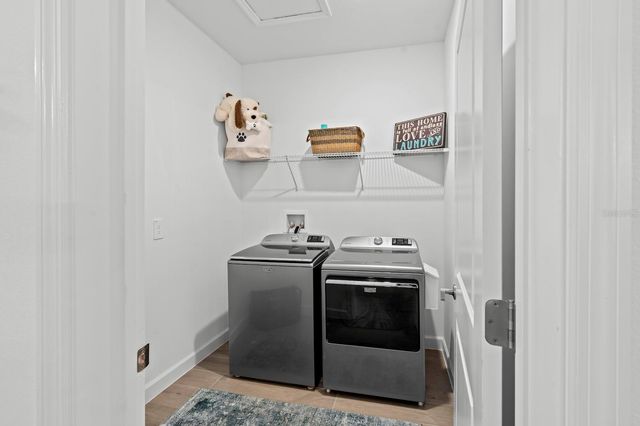 10843 IBIS BROOK COURT, Land O Lakes, FL 34638