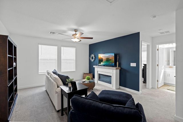 10843 IBIS BROOK COURT, Land O Lakes, FL 34638