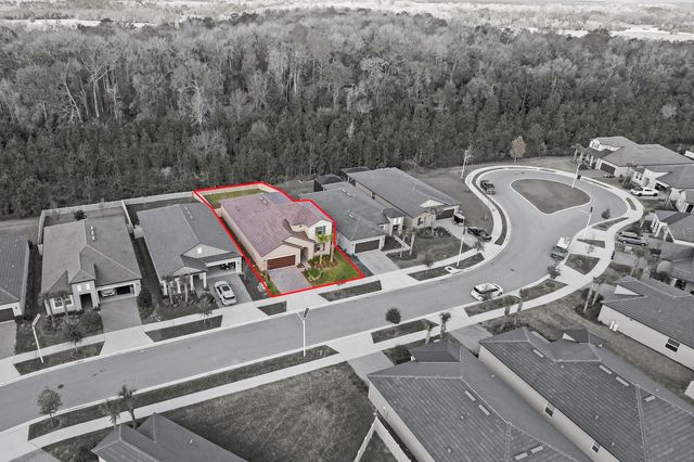 10843 IBIS BROOK COURT, Land O Lakes, FL 34638