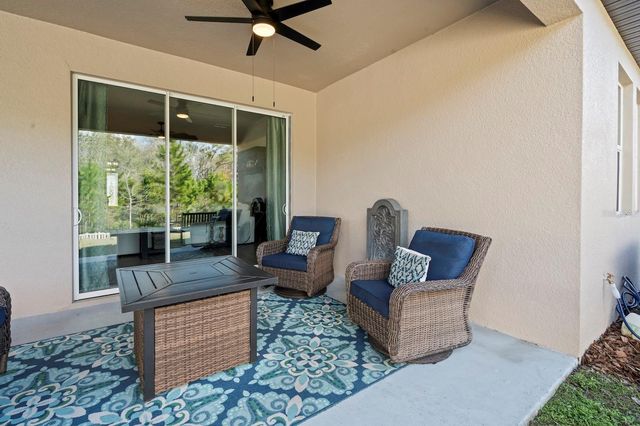 10843 IBIS BROOK COURT, Land O Lakes, FL 34638