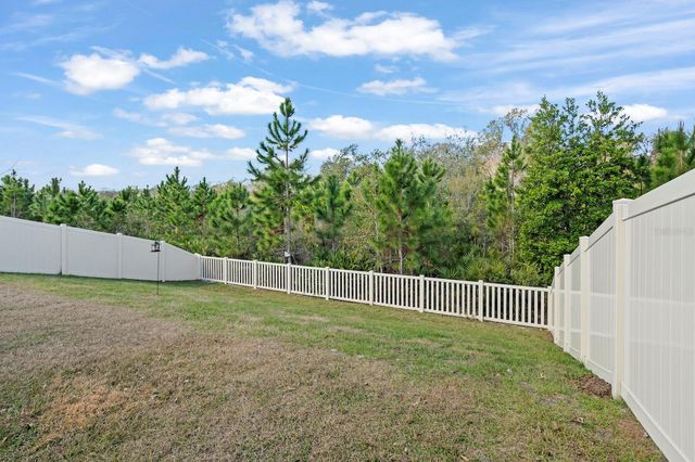 10843 IBIS BROOK COURT, Land O Lakes, FL 34638