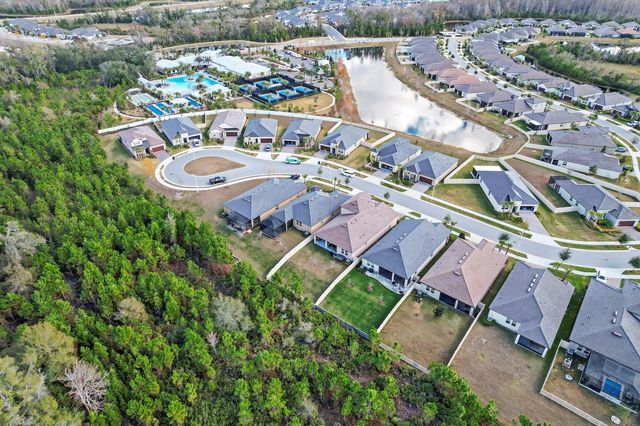 10843 IBIS BROOK COURT, Land O Lakes, FL 34638